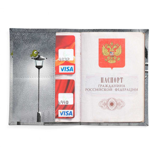 Обложка для паспорта, PAS2 «Owl & bird»