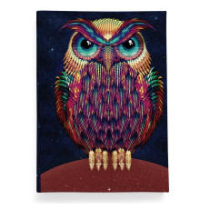 Обложка для автодокументов, AUT2 «Owl color»