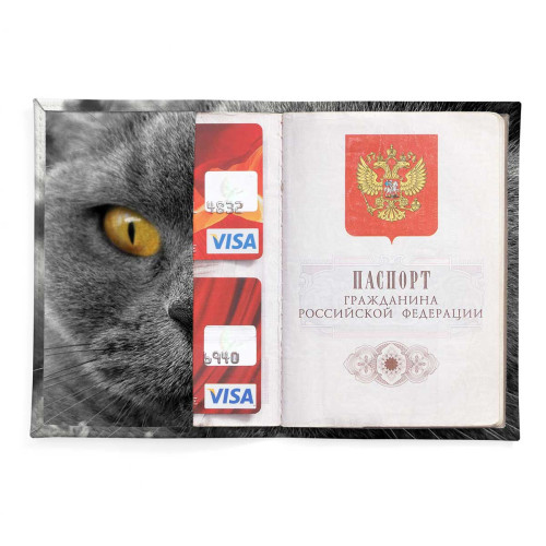 Обложка для паспорта, PAS2 «Cat Eyes»