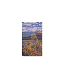 BSN3 «Родные просторы 2»