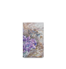 BSN3 «На опушке расцвела сон-трава»