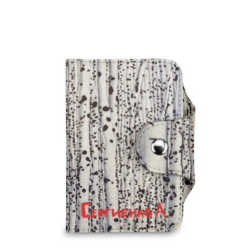 BSN2 «Березы»