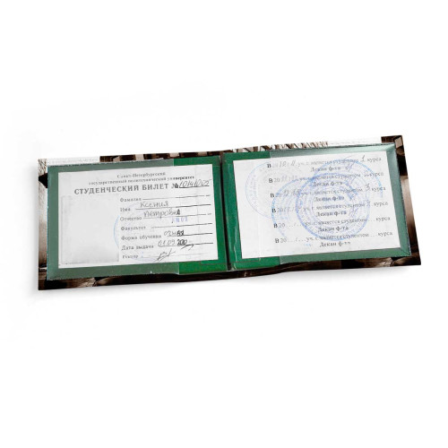 Обложка для студенческого билет STD1 «Rain man»