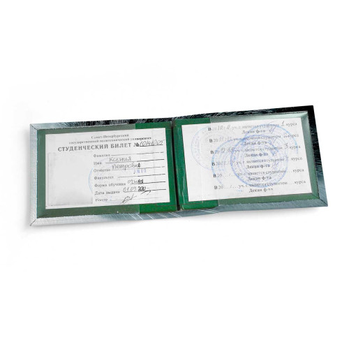 Обложка для студенческого билет STD1 «Cat»