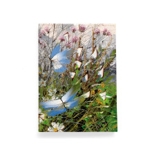 Обложка для автодокументов, AUT2 «Бабочки над цветами и травами»