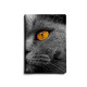 Обложка для паспорта, PAS1 «Cat Eyes»