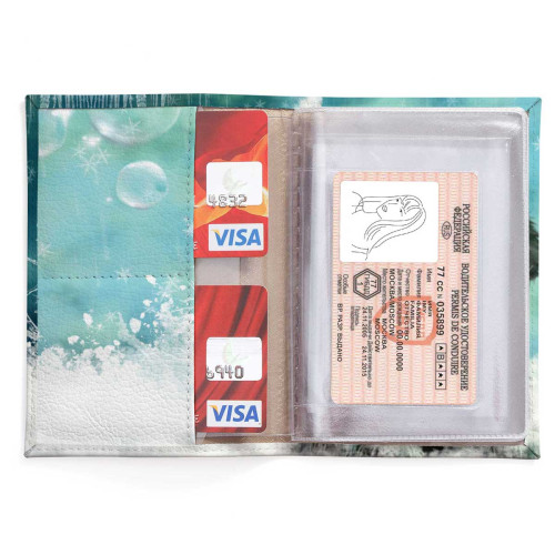 Обложка для автодокументов, AUT2 «Snow cat»