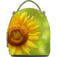 Рюкзак BK16 «Sunflower»