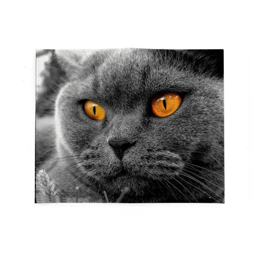 Портмоне PRS3 «Cat Eyes»