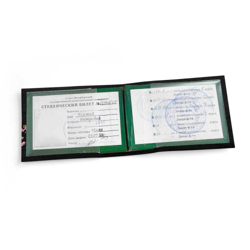 Обложка для студенческого билет STD1 «Skull wind»