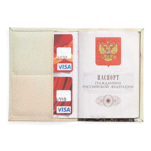 Обложка для паспорта, PAS2 «Ватсон»