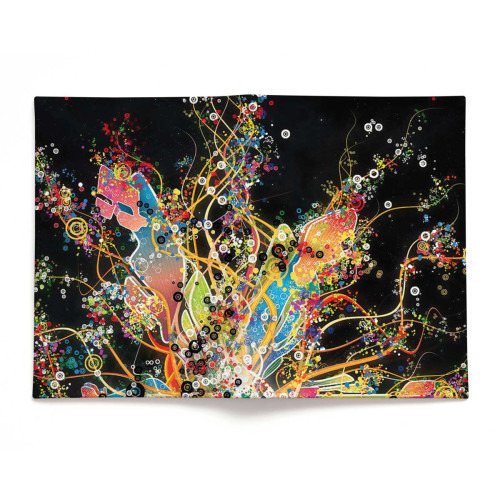 Обложка для паспорта, PAS2 «Burst of Color»