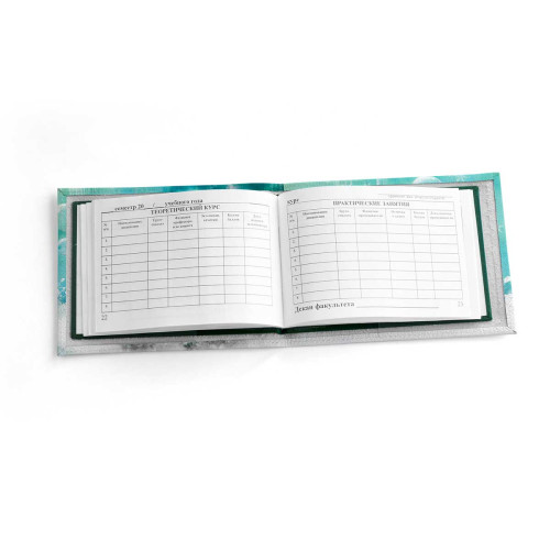 Обложка для зачетной книжки ZTK1 «Snow cat»