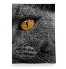 Обложка для автодокументов, AUT2 «Cat Eyes»