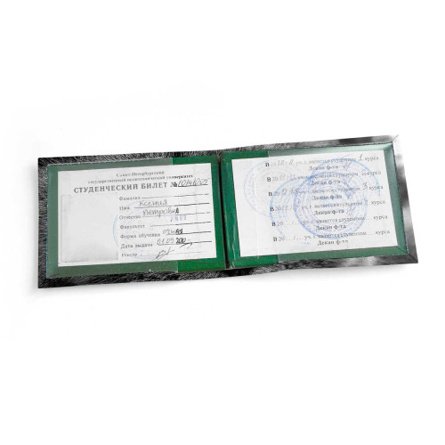 Обложка для студенческого билет STD1 «Cat Eyes»