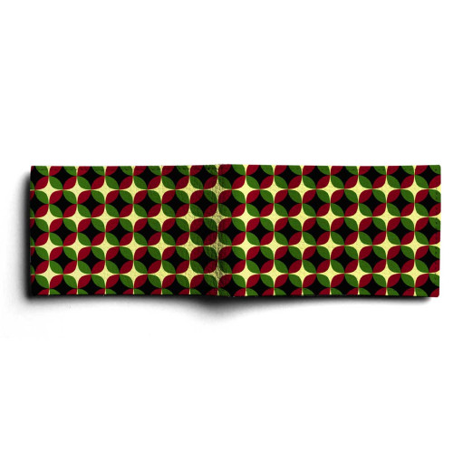 BSN1 «Круги 5»