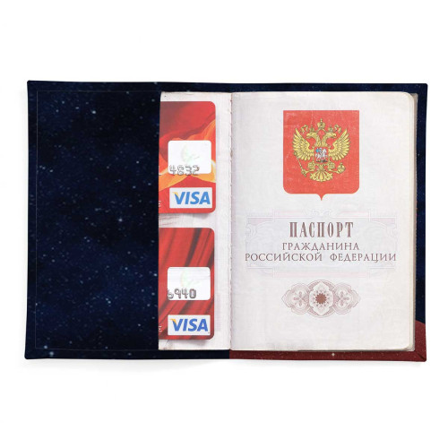 Обложка для паспорта, PAS2 «Owl color»