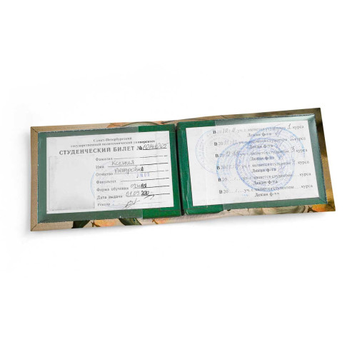 Обложка для студенческого билет STD1 «Salvador Dali»