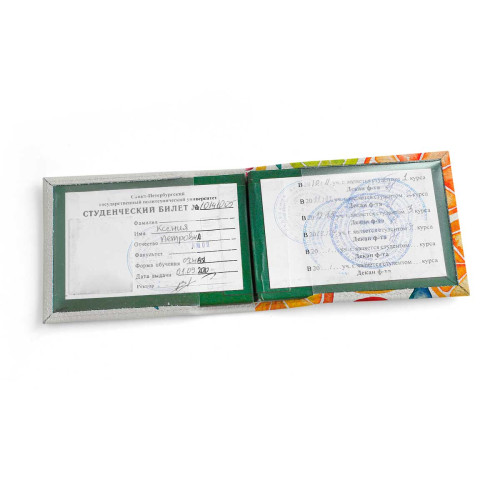 Обложка для студенческого билет STD1 «Citrus»
