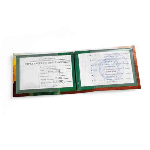 Обложка для студенческого билет STD1 «Sunflower»