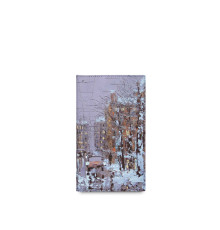 BSN3 «Зимний Петербург»