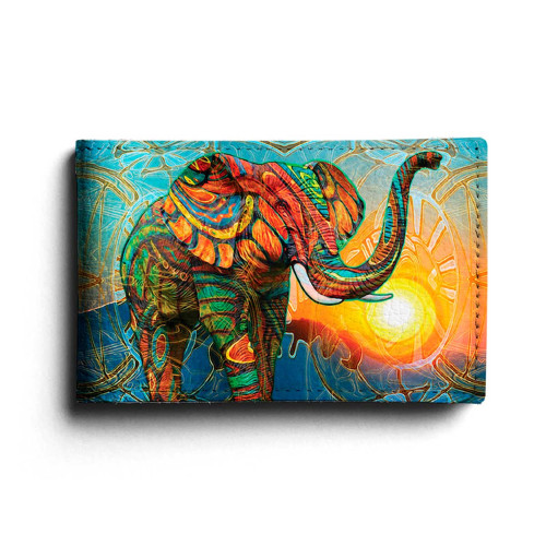 BSN1 «Sun elephant»