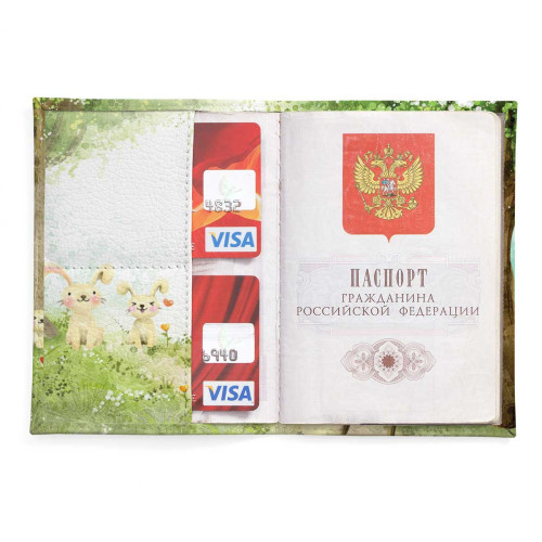 Обложка для паспорта, PAS2 «Little House»