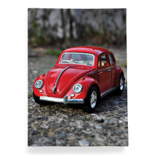 Обложка для паспорта, PAS2 «VW»