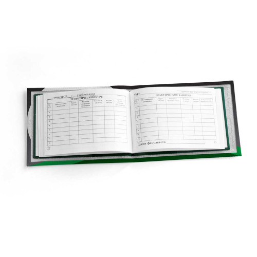 Обложка для зачетной книжки ZTK1 «Кот с луной»