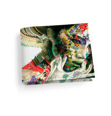 Обложка для студенческого билет STD1 «Women Art»