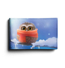 BSN1 «Owl in scarf»