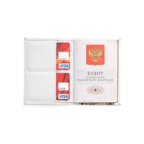 Обложка для автодокументов, AUT2 «Owl»