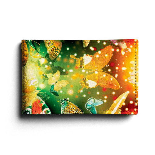 BSN1 «Бабочки 4»