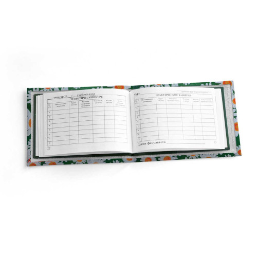 Обложка для зачетной книжки ZTK1 «Ромашки 5»