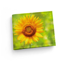 Обложка для зачетной книжки ZTK1 «Sunflower»