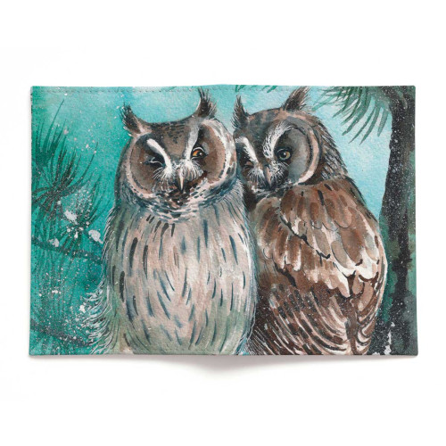 Обложка для паспорта, PAS2 «Совы»