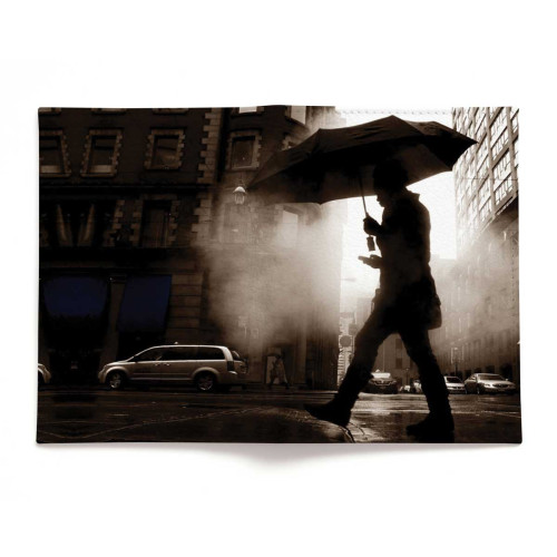 Обложка для паспорта, PAS2 «Rain man»