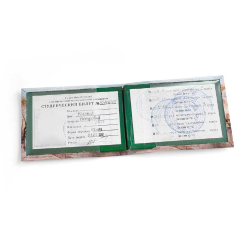 Обложка для студенческого билет STD1 «Paris»