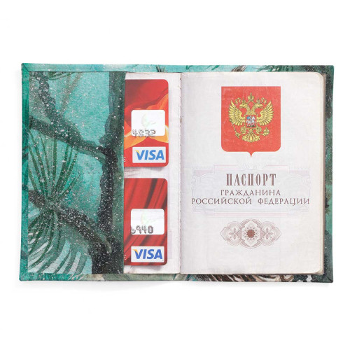 Обложка для паспорта, PAS2 «Совы»