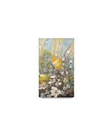 BSN3 «Полет над цветами и травами»