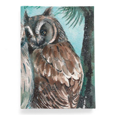 Обложка для паспорта, PAS2 «Совы»