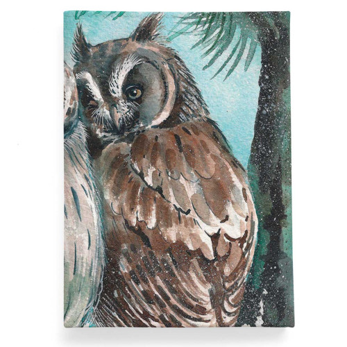 Обложка для паспорта, PAS2 «Совы»