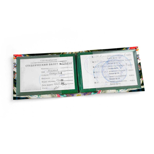 Обложка для студенческого билет STD1 «Women Art»