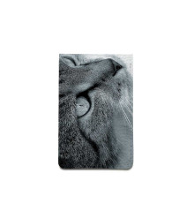 Картхолдер, CHL1 «Cat»